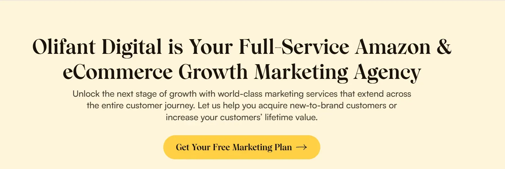 Amazon Advertising Agency in New York - Olifant Digital